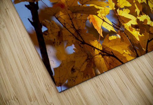 On the Bright Side Richard Weisenberger puzzle
