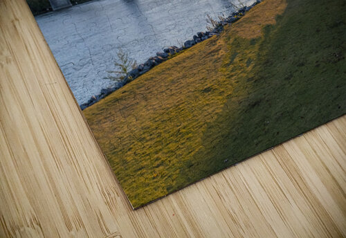 Standing Tall Richard Weisenberger puzzle