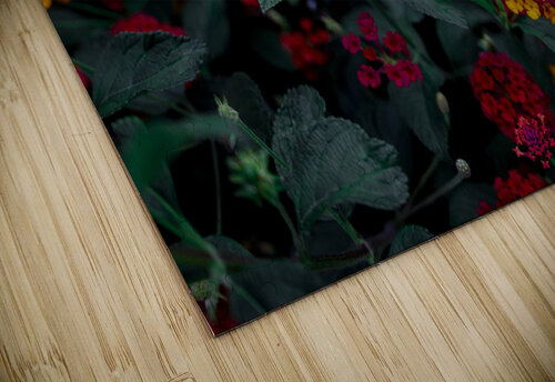 Lantana Richard Weisenberger puzzle