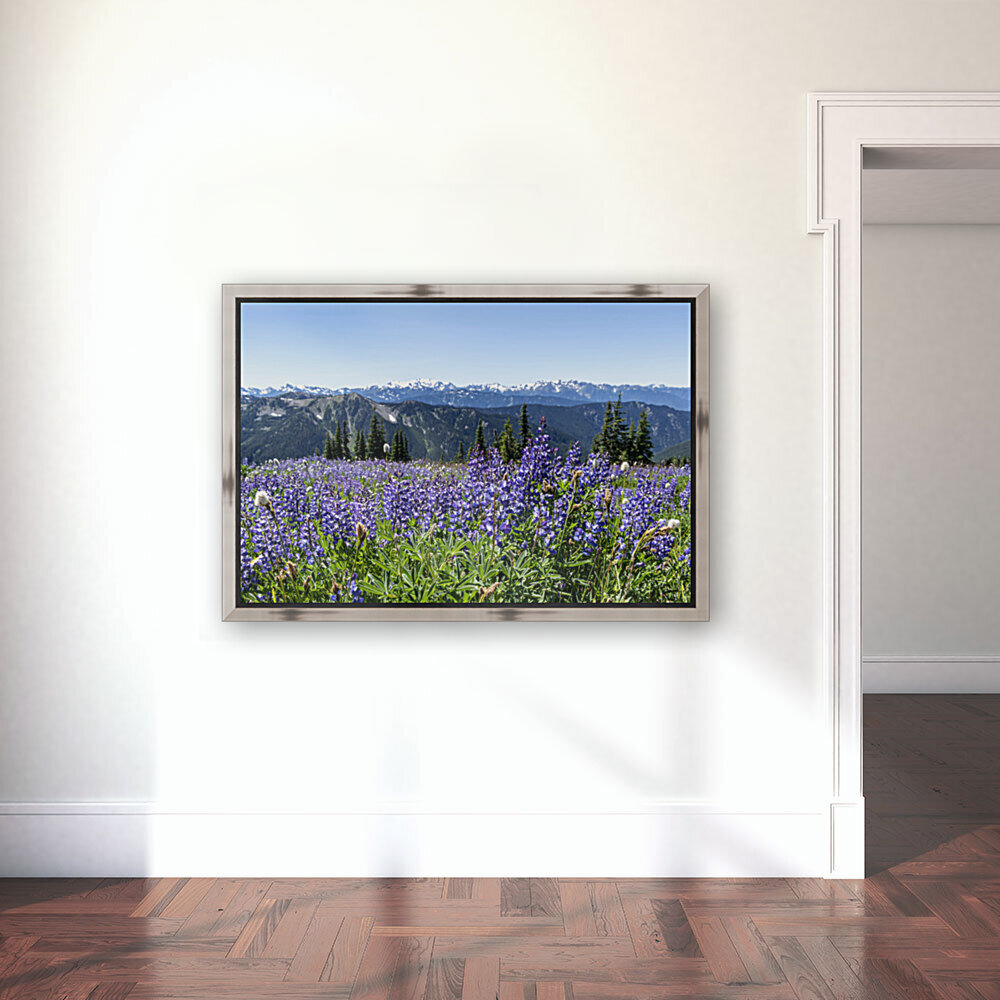 Olympic Lupine Reproduction