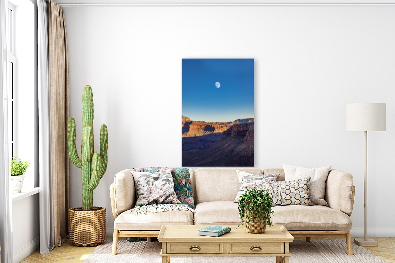 Desert Moon Reproduction