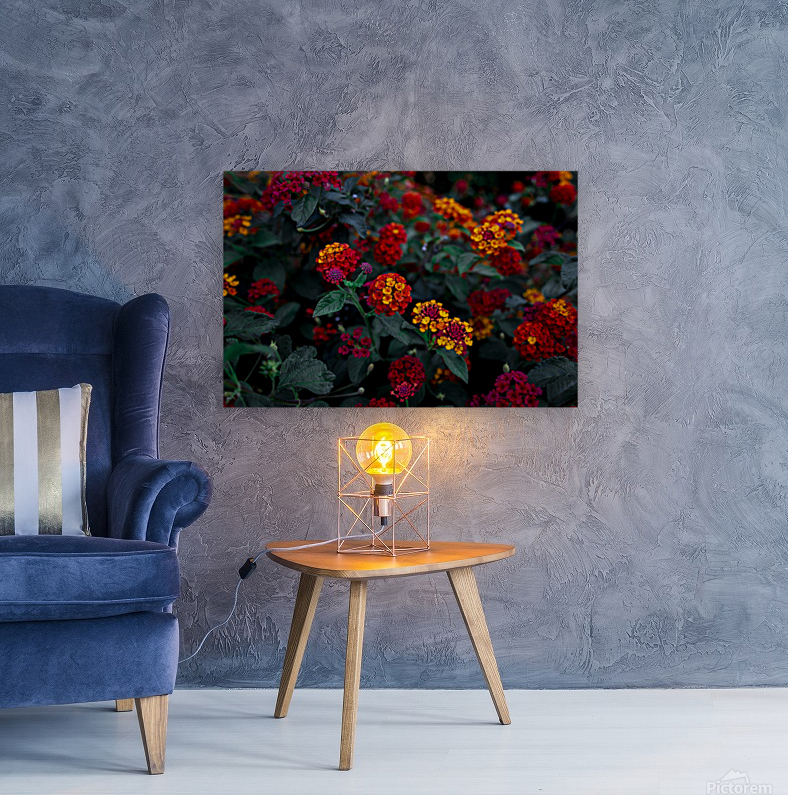 Lantana Reproduction