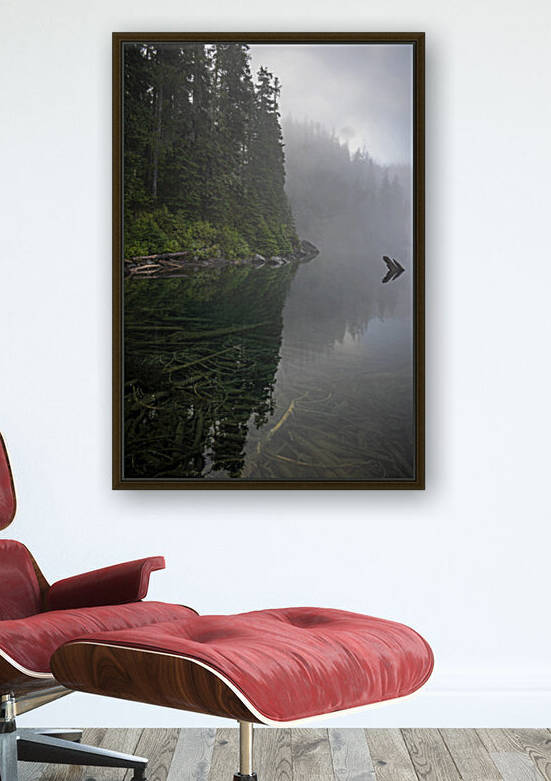 Reflecting on Washington Reproduction