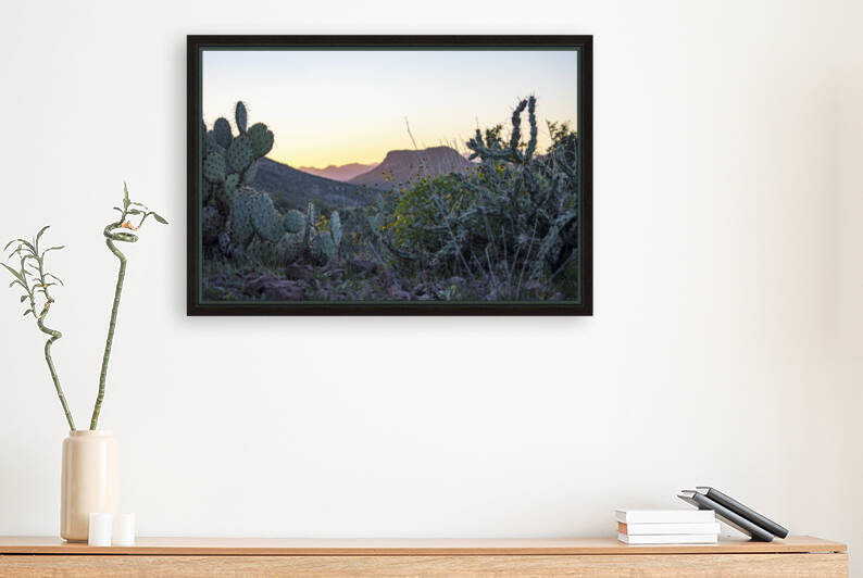 Black Canyon Greenery by Richard Weisenberger
