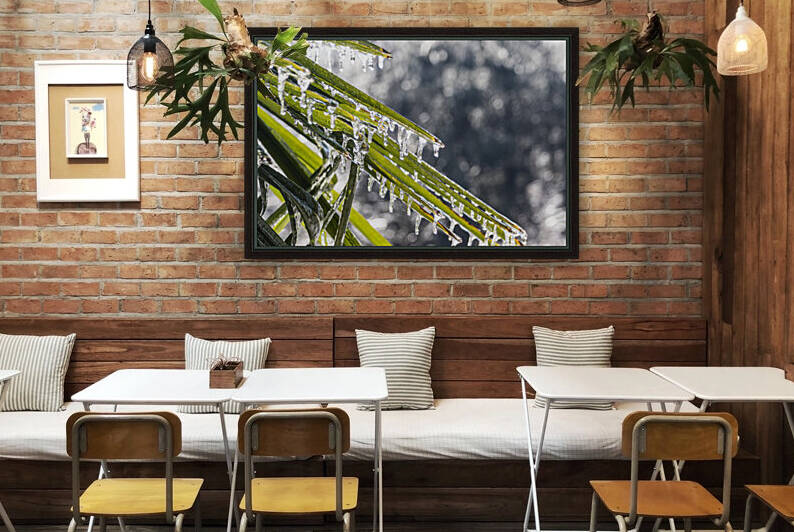 Icy Palm Reproduction