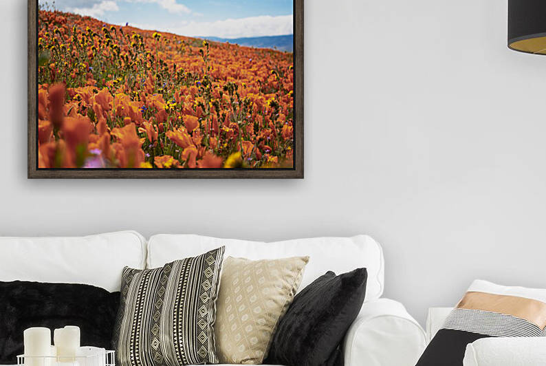 Orange Fields Forever by Richard Weisenberger