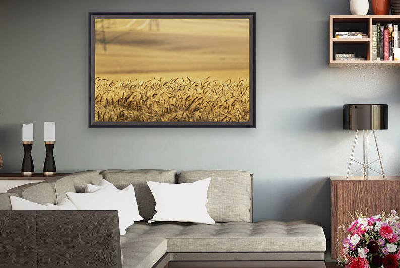 Amber Waves of Grain by Richard Weisenberger