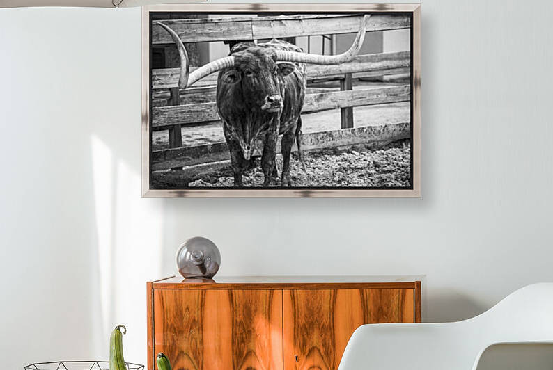 Ferdinand the Longhorn by Richard Weisenberger