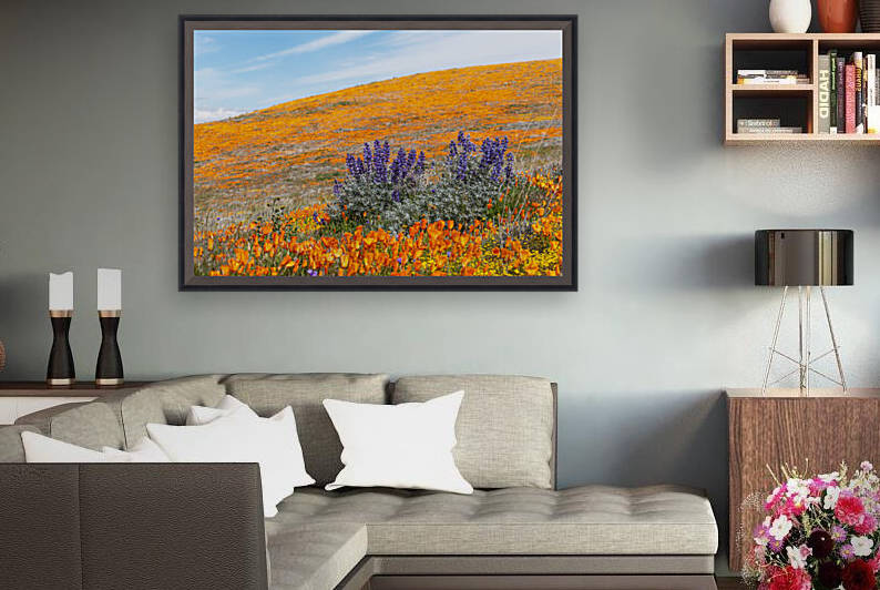 Fire in the Hills by Richard Weisenberger