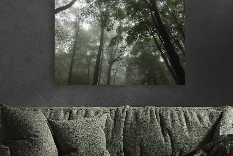 Feeling Foggy by Richard Weisenberger