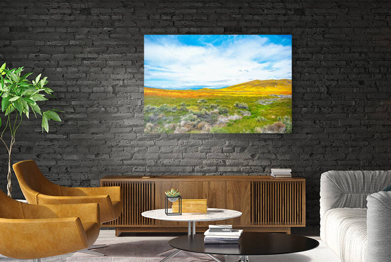 Hills Alive With Sound of Color by Richard Weisenberger