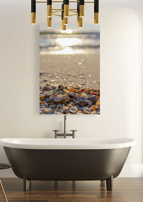 She Sells Sea Shells by Richard Weisenberger
