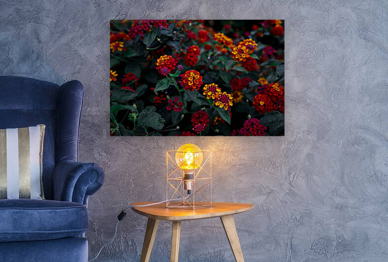 Lantana by Richard Weisenberger