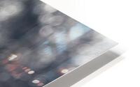 Icy Palm HD Metal print
