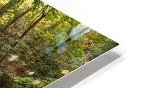 Fantasy Forest HD Metal print