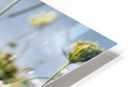 Something Old Something New HD Metal print