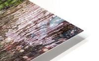 Cypressing Your Luck HD Metal print