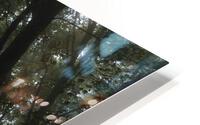 Feeling Foggy HD Metal print
