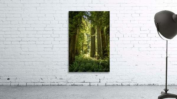 Natures Architecture Wall Preview