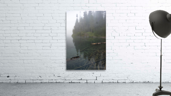 Transparent Reflection Wall Preview