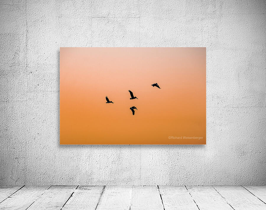 Taking Flight Wall Preview