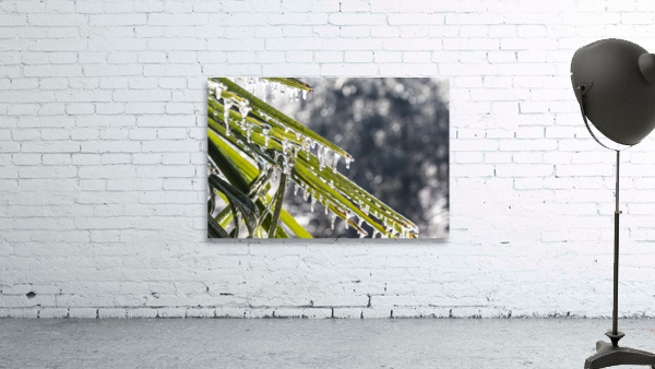Icy Palm Wall Preview