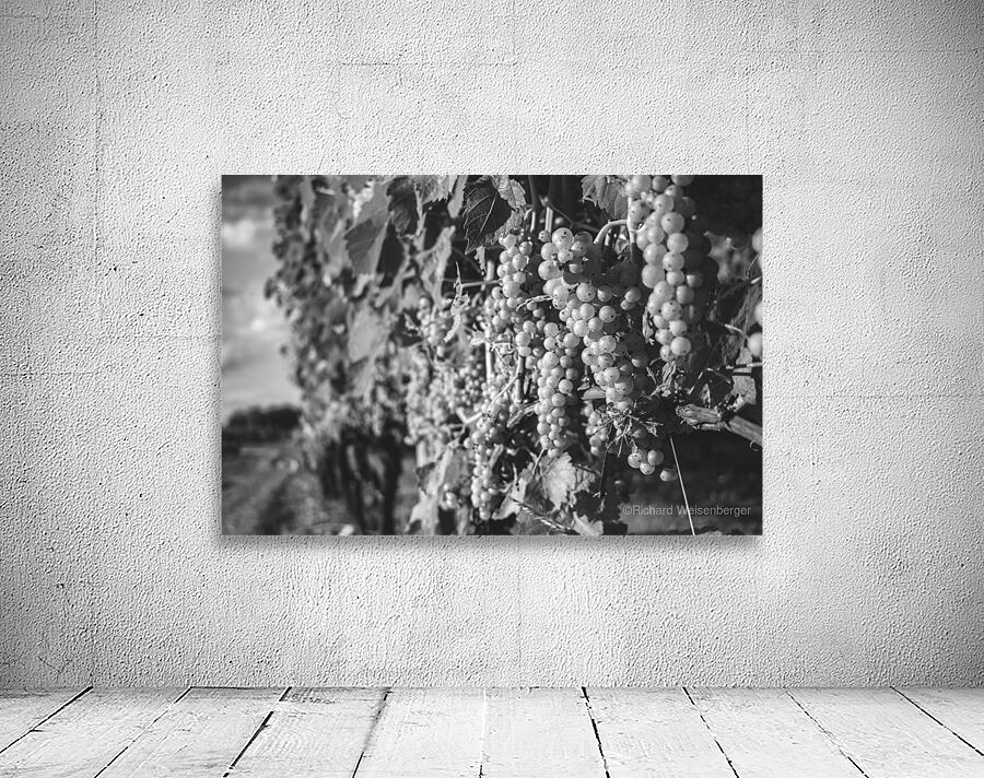Wine About It Wall Preview