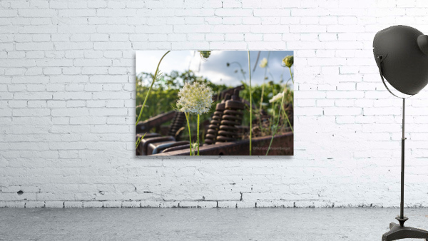 Something Old Something New Wall Preview