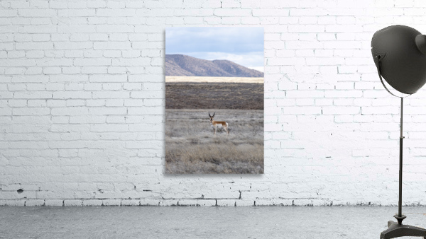 Lone Ranger Wall Preview