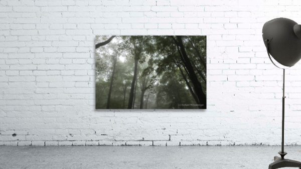 Feeling Foggy Wall Preview