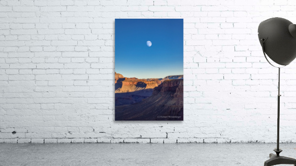 Desert Moon Wall Preview