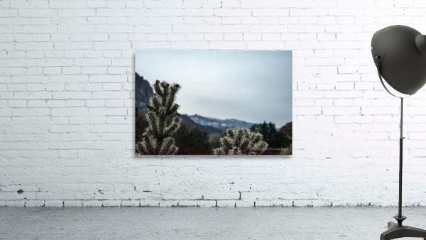 Keep Cool Wall Preview
