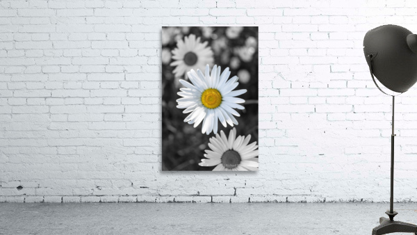 Little Ms. Daisy Wall Preview