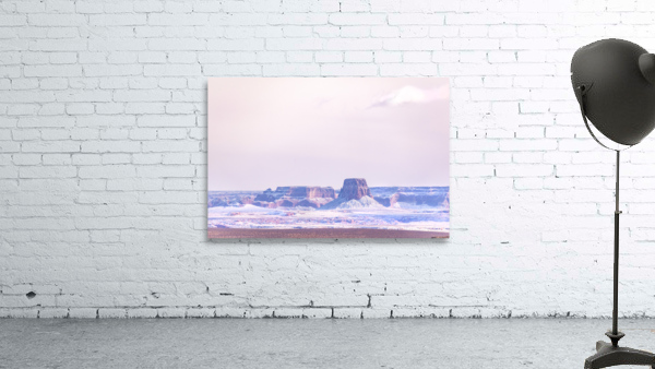 Desert Rose Wall Preview