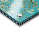 QAC 002 – Cherry Blossoms by Vincent van Gogh . Acrylic print