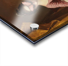 QAC 0029 – Madame Butterfly Rose Gold Acrylic print