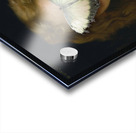 QAC 0062 – Madame Butterfly Bouguereau Girl Acrylic print