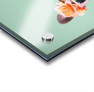 QAN 063 – Fashionable Frenchie Acrylic print