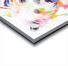 QAN 1058 – Painted Maltese Bold Colorful Happy Acrylic print