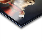 QAN 1027 – Wellington Acrylic print