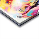 QAN 1062 – Bold Painted Lab Colorful Happy Dog. Acrylic print