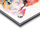 QAN 1063 – Colorful Baby Lab Bold Happy Puppy.j Acrylic print