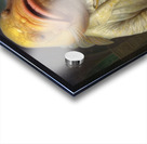 QAN 1033 – Frumppytail Acrylic print