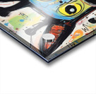 QAN 1080 – Rabid Acrylic print