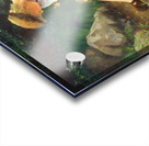 QCH 001 – The Predicament Acrylic print