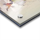 QFB 1064 – Delicate Wallflower Fresco Floral.jp Acrylic print