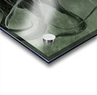 QGF 003 – double exposure octopus Acrylic print