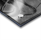 QGF 002 – Octopus Leg and Goldie Locks Acrylic print