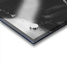 QTY 004b – Frog Prince Acrylic print