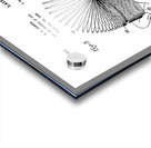 QVT 1064 – Vintage Patent Illustrations Slinky. Acrylic print